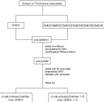 Fig.  2.  Extraction  of  the  Crude  Polysaccharide  from  the  Extract  of  the  Tricholoma  matsutake