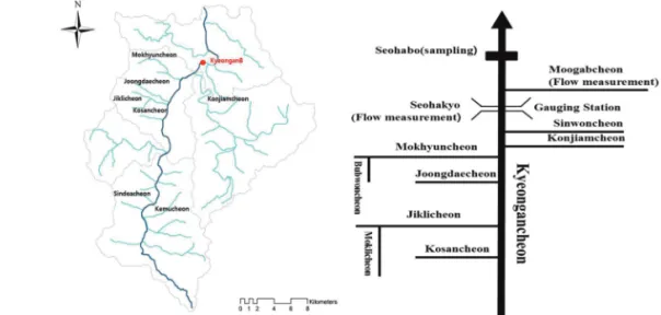 Figure 2.  Thiessen of Thiessen of Han River basin