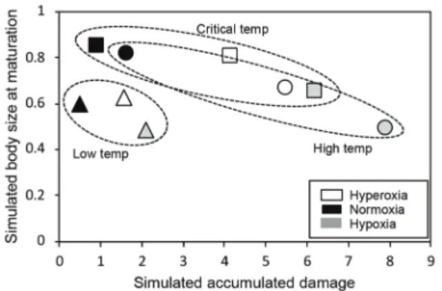 Figure 4.  Predicted body size at maturation in related to temperature and dissolved oxygen (white  tringle-0.5, black circle-1, white square-1.5)