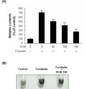 Fig.  4.  Effect  of  RCM  on  tyrosinase  activity  in  forskolin  treated  cells. 