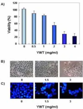 Fig.  1.  Inhibition  on  the  cell  viability  and  morphological  changes  by  Yukwool-tang  (YWT)  treatment  in  HeLa  human  cervical  carcinoma  cells
