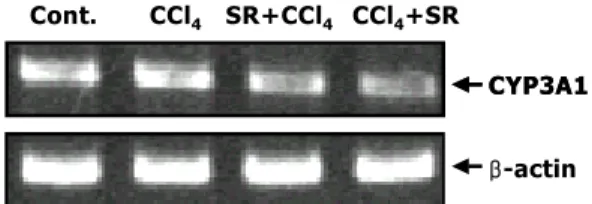 Table  3.  The  effect  of  SR  on  lipid  peroxidation,  GSH  and  catalase  levels  with  hepatic  damage  induced  by  CCl 4 