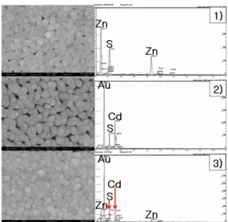 Fig.  4.  1)  SEM  view  (left)  of  ZnS  thin  films  on  the  AlO x