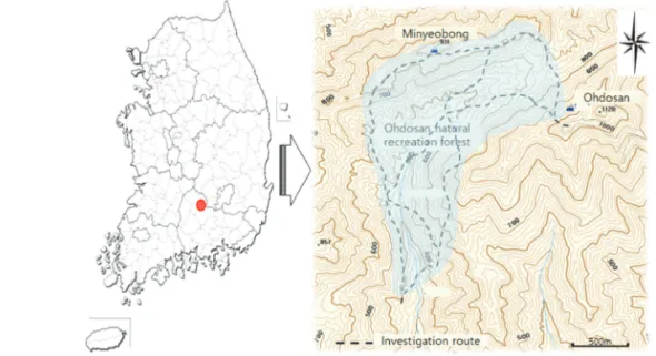 Figure 1.  The location map of survey area and routes in this study.