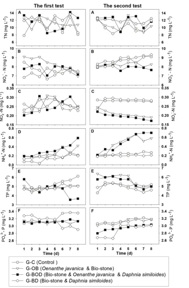 Figure 2.  Time courses of total nitrogen (TN), ammonia nitrogen (NH 4 + -N), nitrate nitrogen (NO 3 – -N), nitrite nitrogen (NO 2 – -N), total phosphorous (TP) and orthophosphate phosphorous (PO 4 3– -P) concentration of different floating-bed systems in 