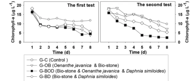 Figure 3.  Time courses of Chlorophyll-a concentration of different floating-bed systems in the two tests.