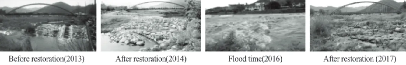 Figure 7.  Before and After Site Views of Restoration at FishWay