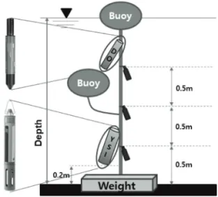 Figure 2.  Schematic diagram of installed thermistor chain and multi parameter water quality probe