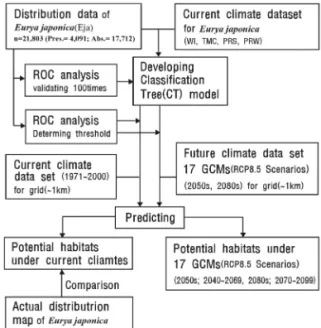 Figure 2.  Flowchart of analysis. (Eja: Eurya japonica, CT- CT-model; Classification tree model, GCMs: General Circulation Models)