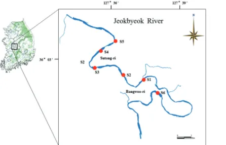 Figure 1.  The map showing the sampling sites in Jeokbyeok River
