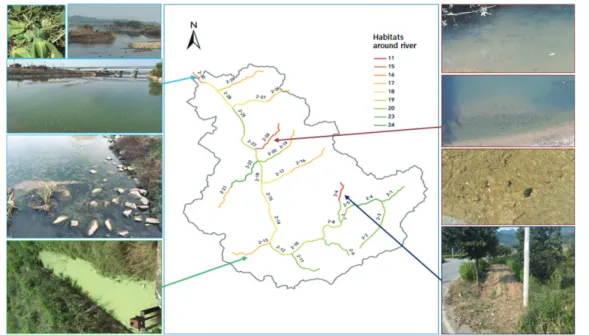 Figure 7.  The current status of pollutant sources in this study areas(b) farm without notice near river and garbage left