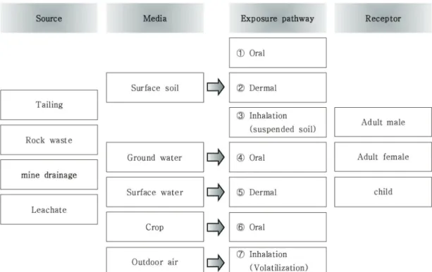 Table 1.  Equations for calculating the average daily dose of each exposure pathway