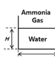 Fig. 1. Water flow exposed to ammonia gas(A: Side view of the flow, B: Cross-sectional view of the flow