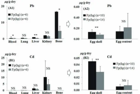 Figure 4.  The concentrations of the lead (Pb) and cadmium (Cd) in feral pigeon’s internal organs and eggs between environmentally different sites