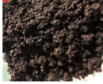 Fig.  4.  Odor  test  of  landfill  leachate  sludge/digested  sludge  &amp;  NS-U  /  NS-J  mixture.