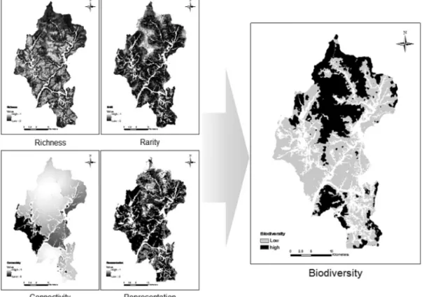 Figure 2.  Biodiversity analysis process
