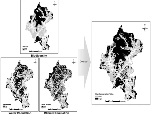 Figure 3.  Map of high conservation value forest