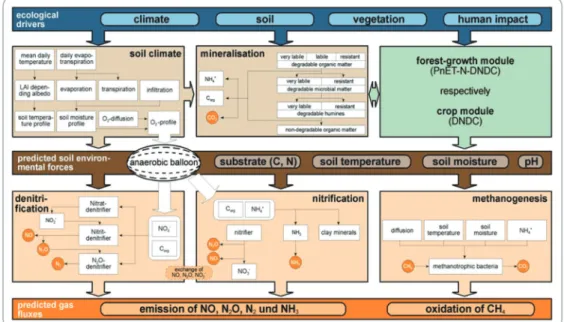 Fig. 1.  Structure of the DNDC Model