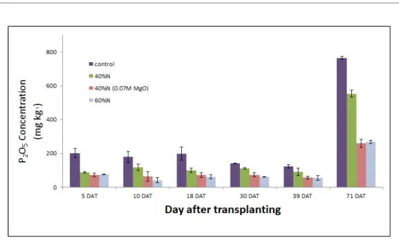 Fig. 2. Changes of P 2 O 5  concentrations in the soil for the different treatments during cabbage cultivation.