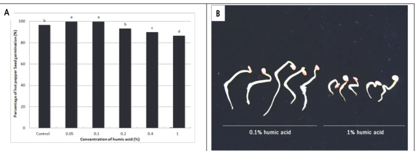 Table 2. Effect of humic acid on the growth of hot pepper seedling at 70 days after seedling in the nurseling pot