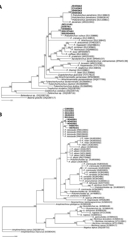 Fig. 1. Bayesian trees inferred from datasets of root-lesion nematodes, which were detected from perilla fields in Korea