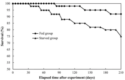 Fig. 4. Typical external morphology of Far Eastern catfish, Silurus asotus at the conclusion of the starvation experiment