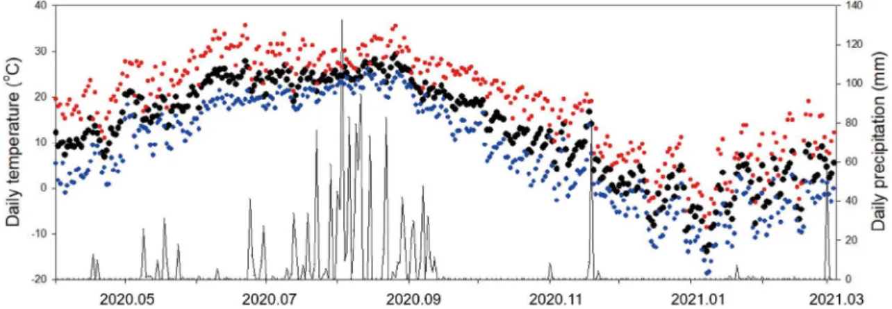 Fig. 3. Daily temperature (left y-axis) and daily precipitation (solid line, right y-axis) at the study site during April 2020-March 2021