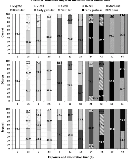 Fig. 4. The ratio of developmental stages of Hemicentrotus pulcherrimus embryo cells at each observation time