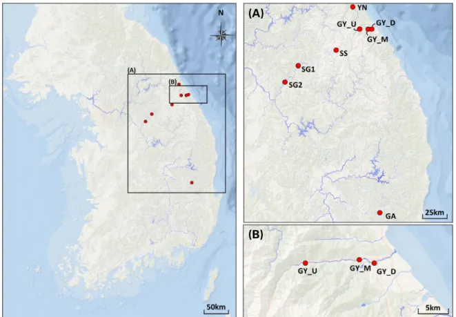 Fig. 1. Eight sampling localities of Zacco koreanus from three river basins in South Korea