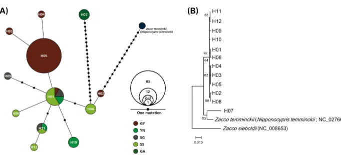 Fig. 2. Haplotype network (A) and phylogenetic relationships (B) of 12 haplotypes (H01-12) identified from five different river populations,  based on mitochondrial COI sequences (619 bp)