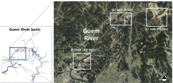 Fig. 1. Three study sites in the Geum River basin. SJ, GJ, and BJ mean Sejong, Gonju, and Baekje weirs, respectively.