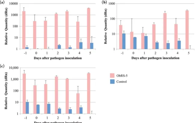 Fig. 2. Expression patterns of defense-related genes in E. asburiae ObRS-5 strain treated plants and controls