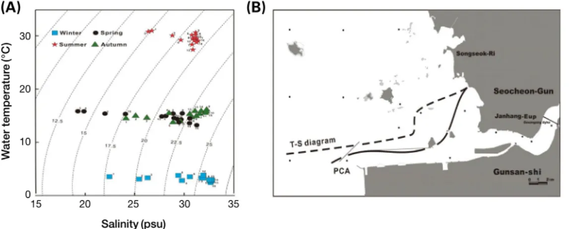 Fig. 11. Seasonal changes in T-S diagrams on the surface (A) and the separation of principal component analysis (PCA) score plots and T-S  diagrams (B) in the Geum river estuary.