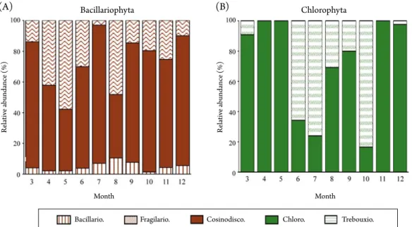 Fig. 5. Seasonal variations in two dominant phyla Bacillariophyta (A) and Chlorophyta (B) at three sampling sites in the Han River in 2012