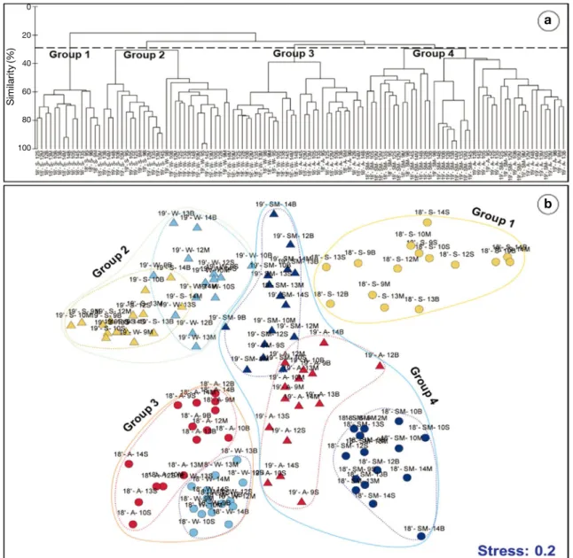 Fig. 4. Cluster (a) and MDS (b) analysis of phytoplankton communities at all depths and all stations