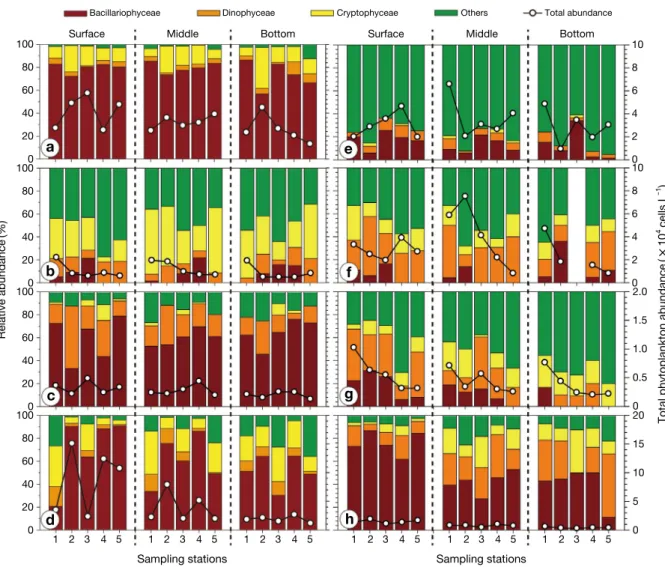 Fig. 3. Horizontal and vertical changes in total phytoplankton abundance and relative dominant phytoplankton at the class level