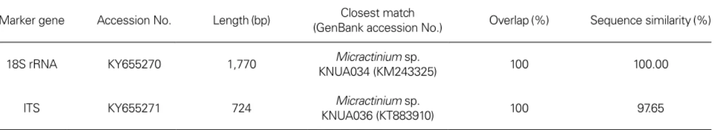 Table 2. Results from BLAST searches (searched date: 22 December 2019) using the 18S rRNA and ITS sequences of Micractinium singu- singu-laris MM0003