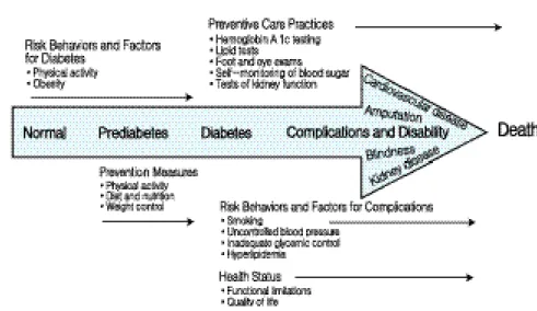 그림 3. 제2형 당뇨병의범위와 질병감시의영역