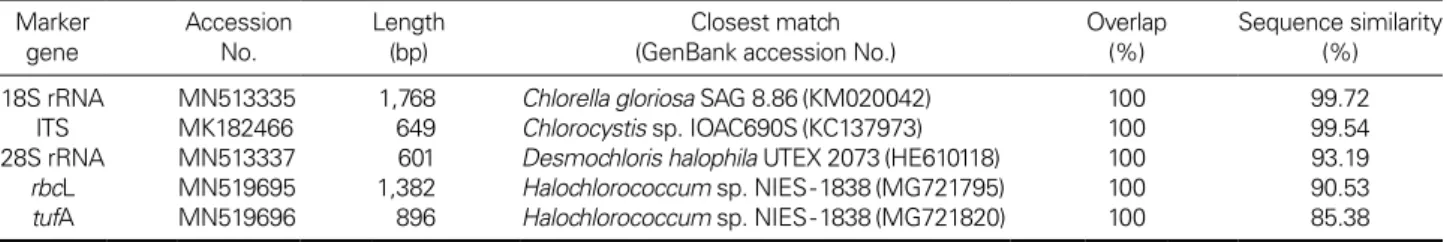 Table 2. Results from BLAST searches using the ITS, 18S and 28S rRNA sequences, and the rbcL and tufA genes of strain MM0063 Marker  