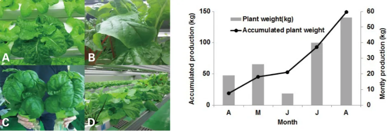 Fig. 6. Water quality (ammonium, nitrite, and nitrate concentra- concentra-tion) changes in the aquaponics system.