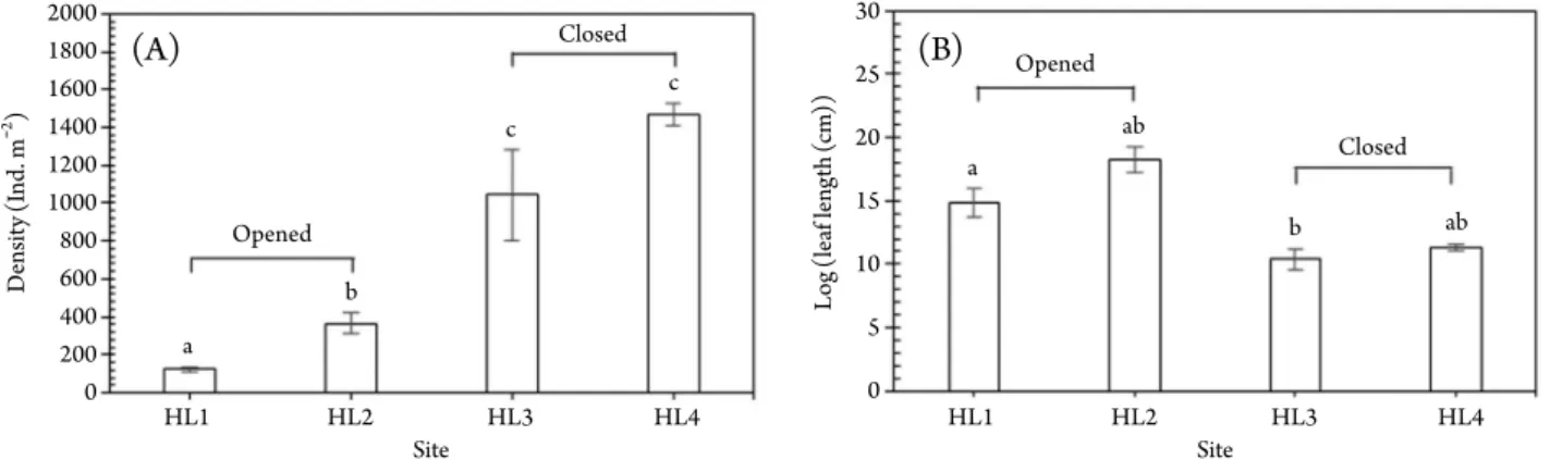 Fig. 1. The densities (A) and leaf lengths (B) of dwarf bamboos at four study sites on Mt