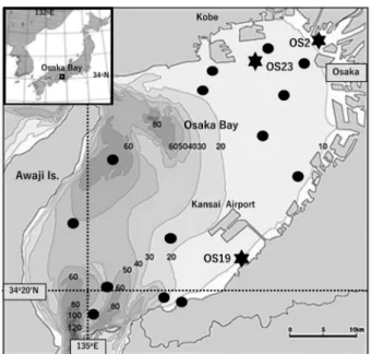 Fig. 1. Sampling locations in Osaka Bay. Closed circles (  ●  ) indicate  stations used by Matsuoka and Ishii (2018), and stars ( ★ ) indicate  the sites of the three cores in the present study