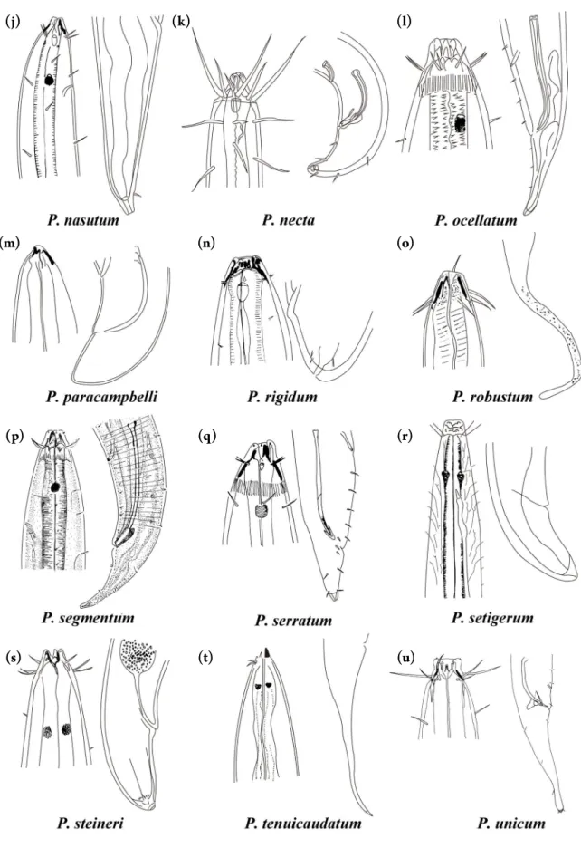 Fig. 4. Continued.