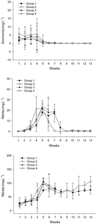 Fig. 2. The changes of dissolved inorganic nitrogen concentra- concentra-tions in bio-floc environment according to the difference in the  stocking density for 13 weeks.