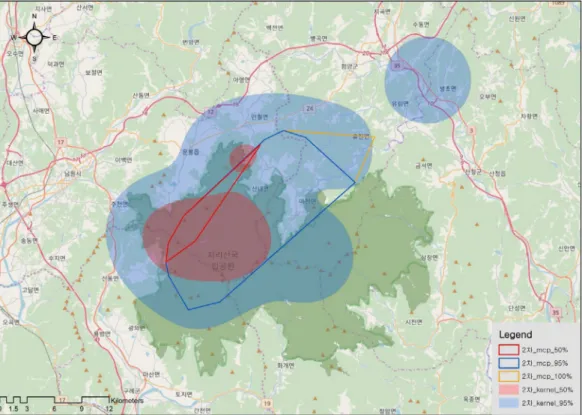 Fig. 6. Home ranges of the KM-53 after 3 rd  release in the Mt. Sudosan. We estimated the home ranges using the MCP and Kernel methods.