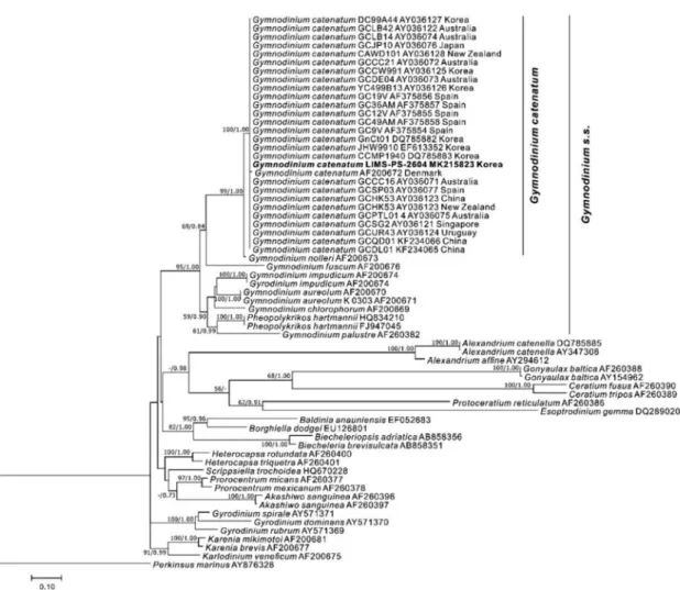 Fig. 5. Maximum Likelihood (ML) tree showing the phylogenetic position of Gymnodinium catenatum based on partial nuclear-encoded  LSU rDNA sequences