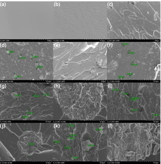 Figure  7.  SEM  images  of  DGEBF/G640  epoxy  resin  with  various  amounts  of  C.  I