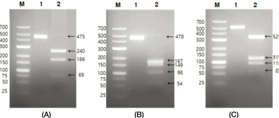 Table 1. The ratios of thrips in the open red pepper in Gochang, Cheongyang and Goesan