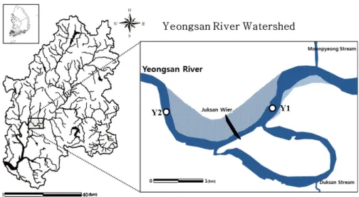 Fig. 1. Sampling site of Yeongsan River. 