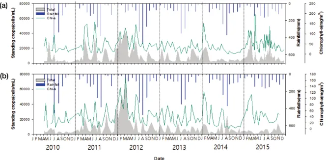 Fig. 4. Temporal variation of phytoplankton, concentration of chlorophyll-a and monthly preparation (a: Y1, b: Y2).